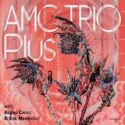 Review: AMC Trio - Plus
