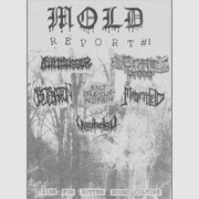 Review: Mold Report - Ausgabe 1
