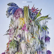 Wilco: Cousin – Vinyl-Ausgabe