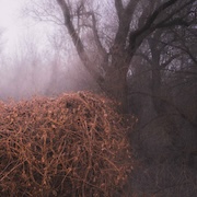 Review: The Devil's Trade - Nincs Szennyezetlen Szép