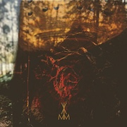 Review: Vlimmer - Bodenhex